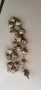 Гривна , снимка 3