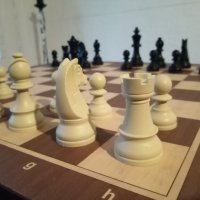 Шах дъска и фигури (шахмат нов), снимка 1 - Шах и табла - 29100915