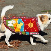  Ръчно бродирани перуански кучешки дрешки различни цветове и размери, снимка 14 - За кучета - 42804804