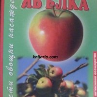 Гъсти овощни насаждения: Ябълка, снимка 1 - Специализирана литература - 38510186