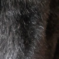 женско кожено палто-150лв, снимка 3 - Палта, манта - 44245748