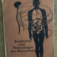 Anatomie und Physiologie des Menschen Georgi K. Nalbantov, снимка 1 - Чуждоезиково обучение, речници - 33703684