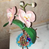 Декорации в керамични кашпи със скандинавски мъх и сапунени цветя , снимка 3 - Декорация за дома - 44371647