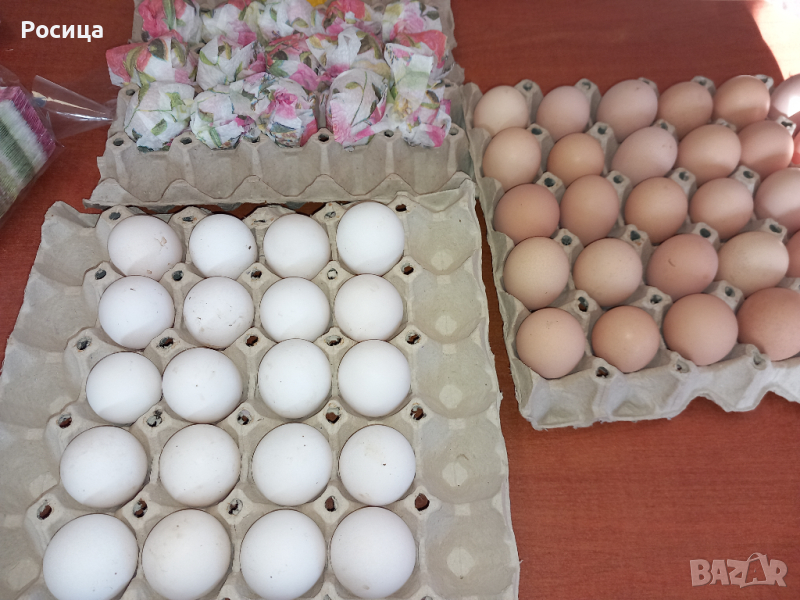 Предлагам разплодни яйца от Бял легхорн., снимка 1