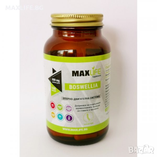 Хранителна добавка BOSWELLIA 600 мг 100 капсули - MAXLIFE Supplements, снимка 1