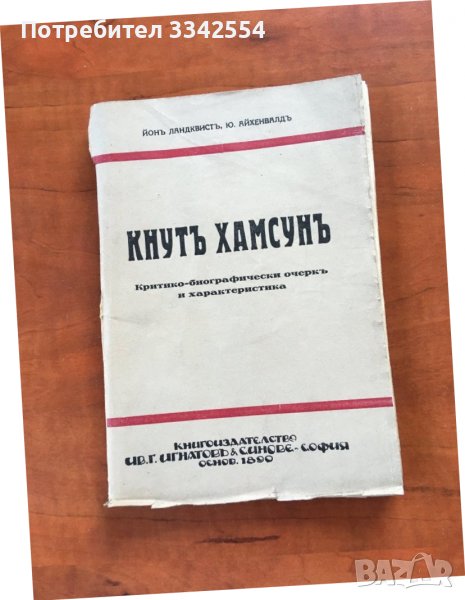 КНИГА-КНУТ ХАМСУН-ОЧЕРК, снимка 1