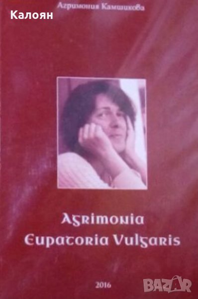 Агримония Камшикова - Agrimonia eupatoria vulgaris (2016), снимка 1