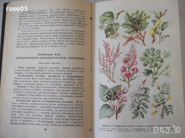 Книга "Основы пчеловодства - В. Виноградов" - 280 стр., снимка 5 - Учебници, учебни тетрадки - 42575448