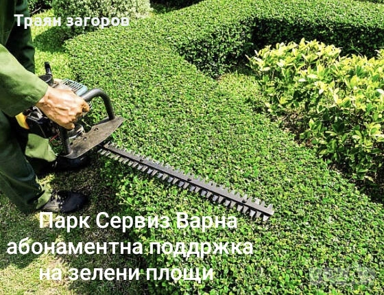 рязане на опасни дървета с вишка, снимка 3 - Други услуги - 54095012