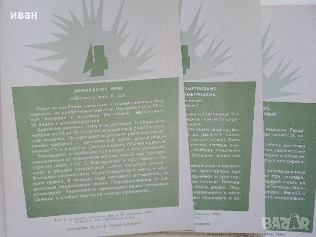Комплект с 18 цветни картички "Кактусы", снимка 7 - Други - 30754579