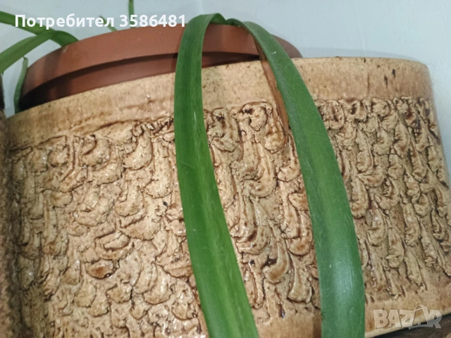 Продавам 2 Красиви Саксии, снимка 2 - Саксии и кашпи - 54121714