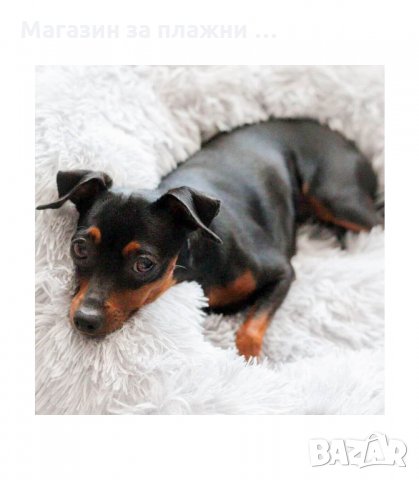 МЕКО ПУХЕНО ГНЕЗДО ЛЕГЛО ЗА КУЧЕ ИЛИ КОТКА, МНОГО УДОБНО ЗА МАЛКИ И ГОЛЕМИ ЖИВОТНИ - КОД 3164, снимка 2 - Други стоки за животни - 34127333