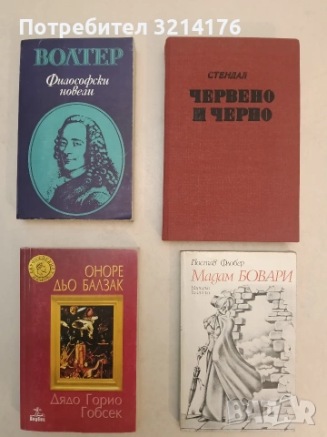 Мадам Бовари. Провинциални нрави - Гюстав Флобер (1979)