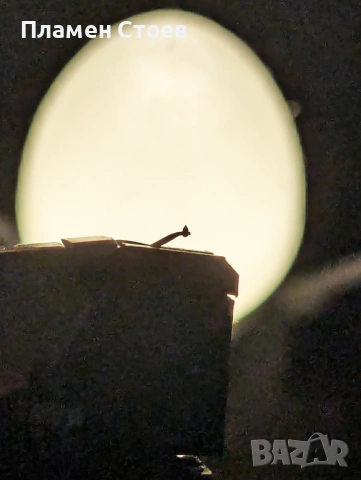 Грамофонна Доза Grado Prestige Gold 1, снимка 6 - Грамофони - 54334414