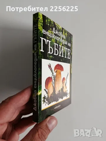 Джобна енциклопедия на гъбите, снимка 9 - Специализирана литература - 56463330
