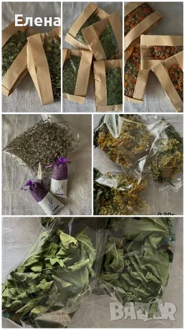 сушени билки и подправки