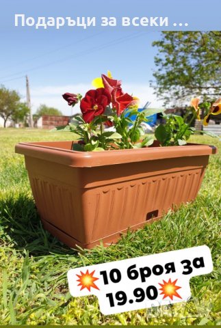 ПРОМОЦИЯ 10 БРОЯ за 19.90 !!! Пластмасово сандъче за цветя с подложка 30 см. За градината 