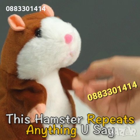 Намаление! Интерактивен говорещ хамстер , снимка 4 - Образователни игри - 38557021