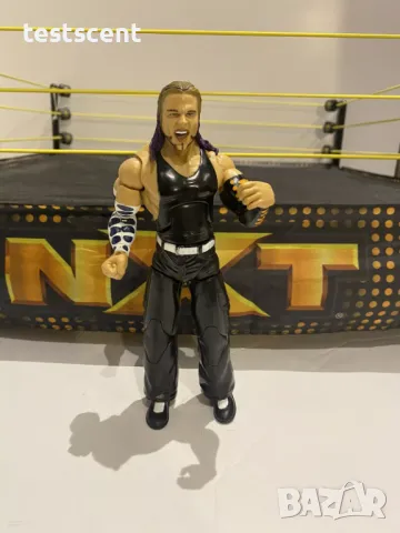 Екшън фигура WWE Jeff Hardy Deluxe Aggression Джеф Харди Делюкс играчка, снимка 13 - Фигурки - 48210019