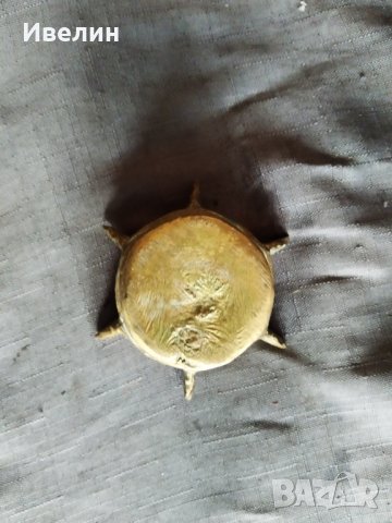 старо бронзово хаванче, снимка 5 - Антикварни и старинни предмети - 30213850