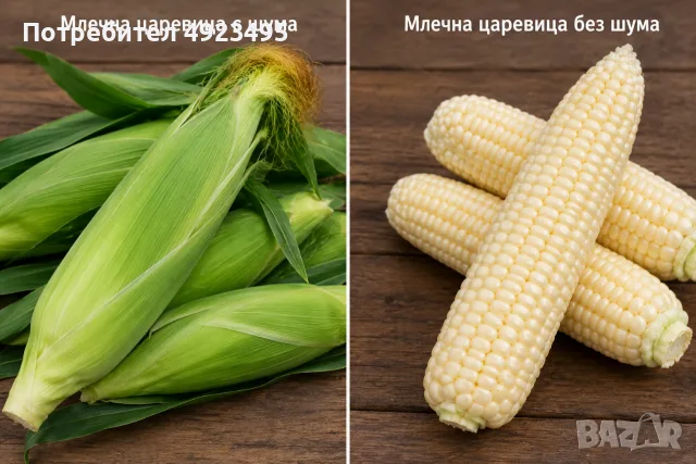 Продавам сладка царевица Messengers 