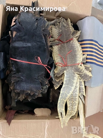 Кания от естествена кожа , снимка 6 - Други - 51564463