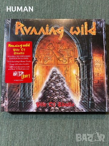 Running Wild, снимка 6 - CD дискове - 42194043