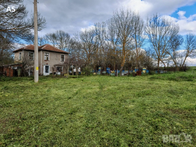 Пчелни кошери  ДБ 12 рамкови, снимка 3 - Други животни - 54350075