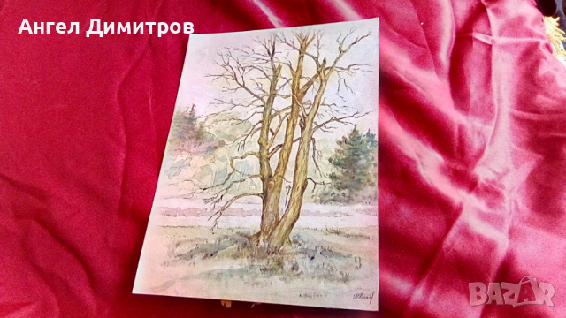Картина акварел Никола Костов, снимка 1 - Картини - 36484371
