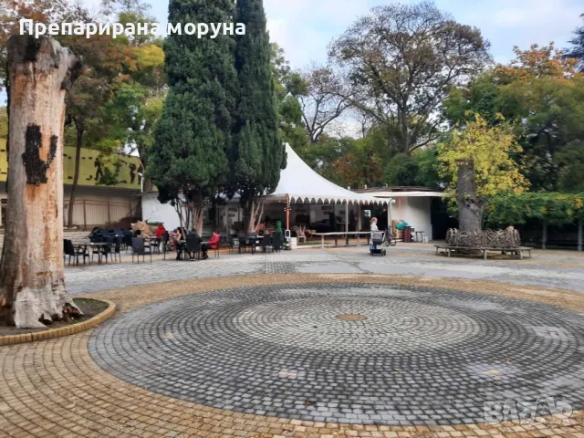 Шатра висок клас 10/10, снимка 6 - Обзавеждане за заведение - 49982733