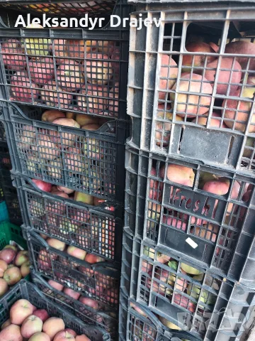Круши, Ябълки,Мед и Сокове , снимка 18 - Домашни продукти - 56258345
