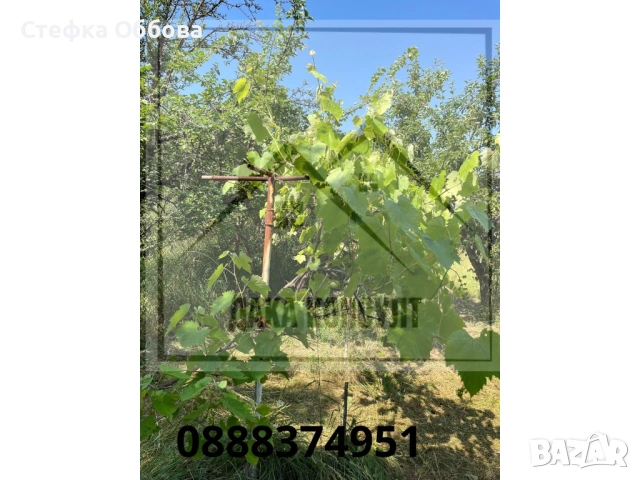 Продавам къща в с. Жедна, снимка 5 - Къщи - 50757061
