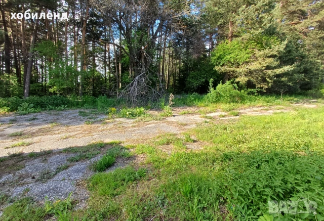 В продажба атрактивен парцел на хижа Здравец, снимка 2 - Парцели - 54061924