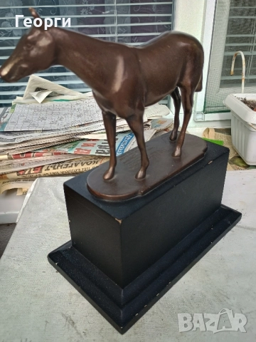 Бронзова награда за конни надбягвания, снимка 6 - Колекции - 52350508