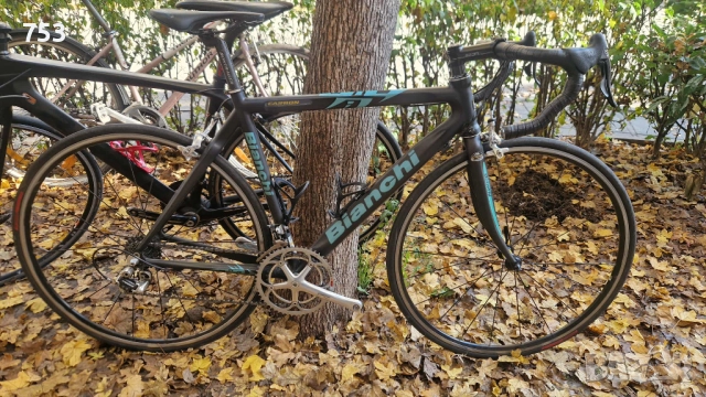 BIANCHI CARBON