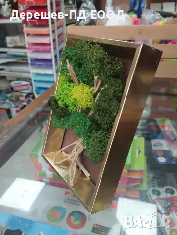 Дърво на живота от скандинавски мъх, снимка 3 - Декорация за дома - 49465346