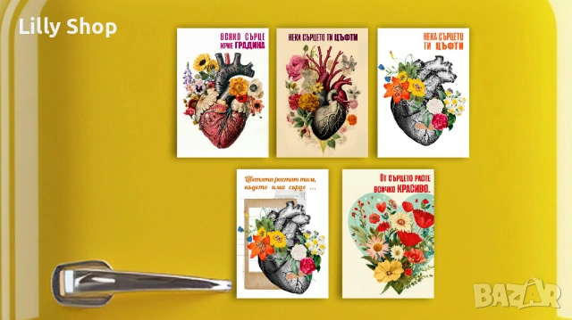 Цветни магнити  с повод и без 