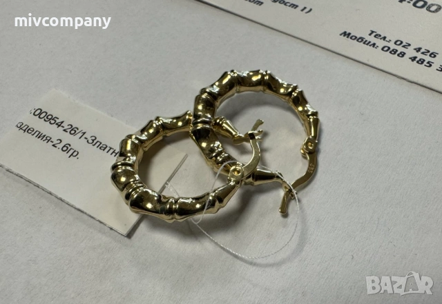 Златни обеци 2.60гр.