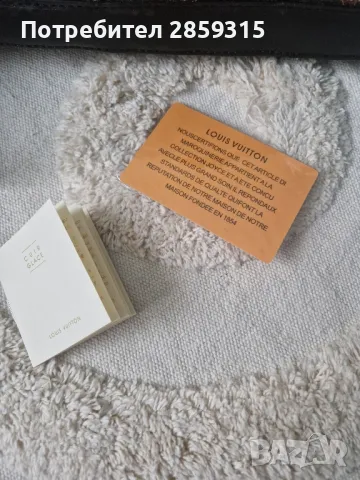 Дамска чанта Lui Vuitton, снимка 15 - Чанти - 49120041