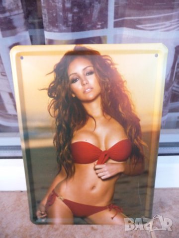 Метална табела бира Guinness Гинес Тукан тъмна ирландска пъб бирария клуб фест бирен ретро, снимка 7 - Декорация за дома - 15048909