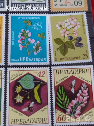 Пощенски марки  ЦВЕТЯ стари редки за колекция декорация поща България от соца 29539, снимка 4 - Филателия - 37713345