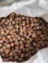 Продавам лешници с черупка , снимка 1