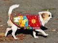 Ръчно бродирани перуански кучешки дрешки различни цветове и размери , снимка 15