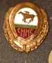 Старинни емайлирани значки, царски, снимка 4