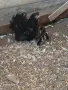 Двойки къдрави джинки., снимка 6