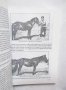 Книга История на коневъдството в България - Добри Добрев, Илияна Събева 1999 г., снимка 4