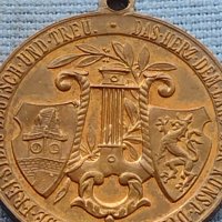 Рядък медал GRAZ 1902г. Уникат за КОЛЕКЦИОНЕРИ 38556, снимка 4 - Антикварни и старинни предмети - 42726076