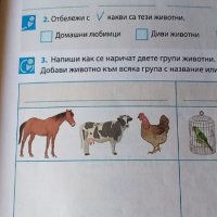 Учебник, учебна тетрадка и книга за учителя по околен свят за 2. клас, изд. Булвест, снимка 5 - Специализирана литература - 31377724