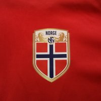 NIKE NORGE DRI-FIT Размер L мъжка футболна горница 25-51, снимка 4 - Спортни дрехи, екипи - 38025840
