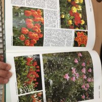 Енциклопедия A-Z of Annuals, Biennials & Bulbs (Successful Gardening), снимка 13 - Енциклопедии, справочници - 30873162